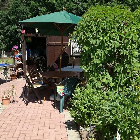 Ferienwohnung Am Wald Tharandt Εξωτερικό φωτογραφία